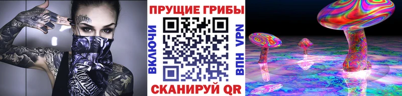 где купить наркоту  Выкса  Псилоцибиновые грибы GOLDEN TEACHER 