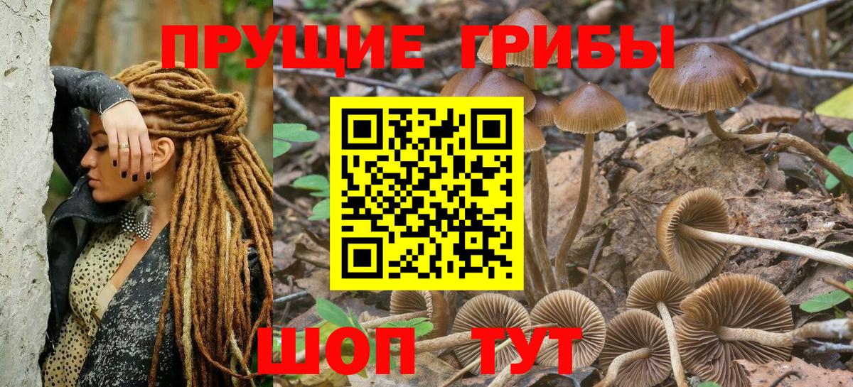 продажа наркотиков  Псилоцибиновые грибы MAGIC MUSHROOMS  Вход с VPN  Выкса  Галлюциногенные грибы ЛСД 